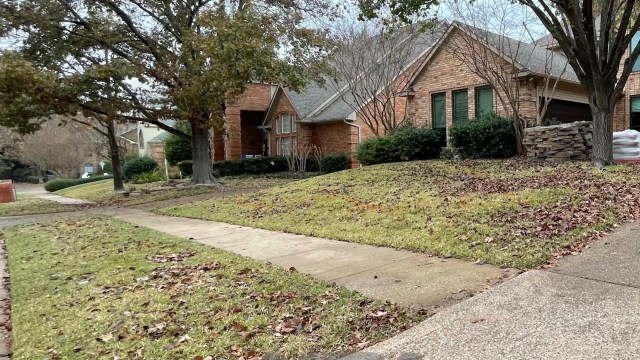 "People tell me they detour on their dog walks to see it."