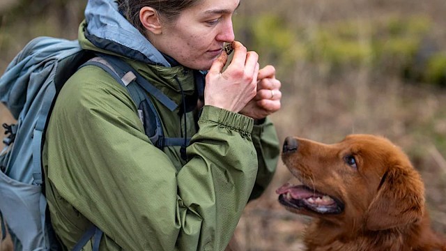 Dogs are increasingly playing a starring role in all sorts of efforts with scientists.