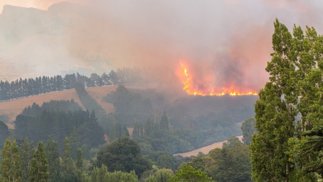 Approximately 85% of uncontrolled fires in America are caused by human activity.