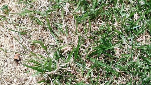 "It breaks my heart thinking about the sheer amount..."