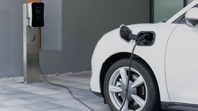 "It's so cheap, it's stupid."