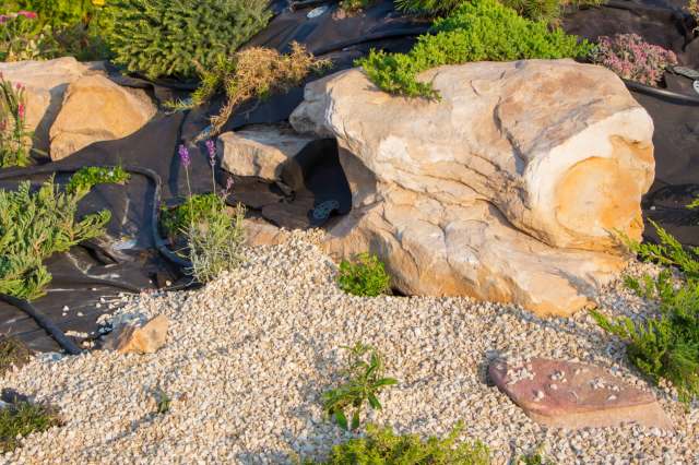 "Before you know it, they will be gone."