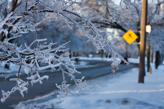 Rising winter temperatures pose a number of risks, including more extreme weather.