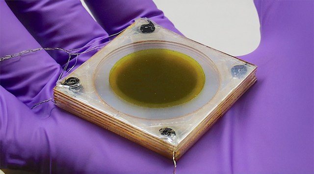 "We need a variety of solutions to the problem, and this could be the basis for one."