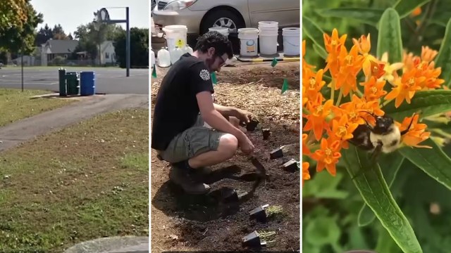 "I'm honestly blown away by how well it has done."