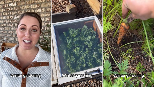 The gardening hacks help people save certain vegetables from frost. This way, they can grow and get ready for harvest, even in colder weather.