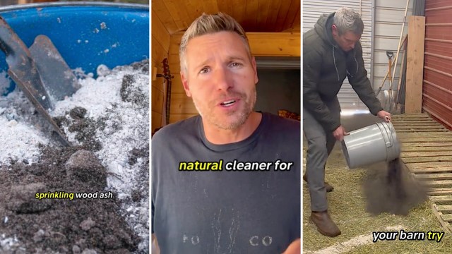 "Don’t let it go to waste."