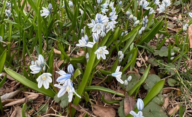 This is just one of many incidents where tenants have felt hand-tied by their landlords.