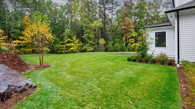 "Your landlord not conducting a review at reasonable intervals … means … that they have accepted the level of care that you have provided."