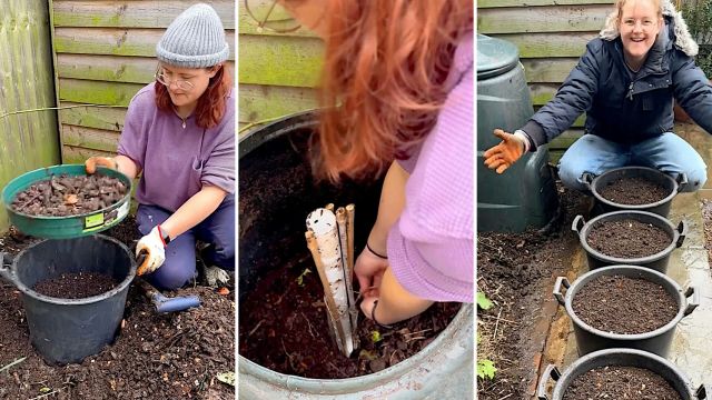"Plants were greener, bigger, and better crop."