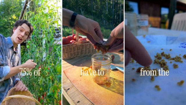 Growing your own food has an array of benefits.