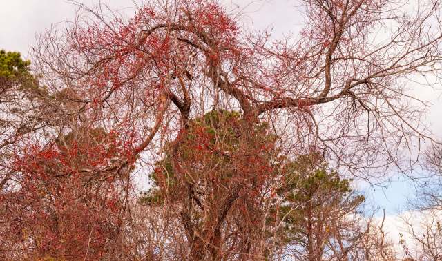 In 2025, Lloyd wants to double her growing team of volunteers.