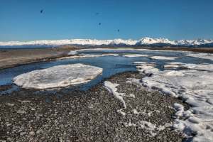 "There definitely seems to be an increase in the propensity for that to happen."