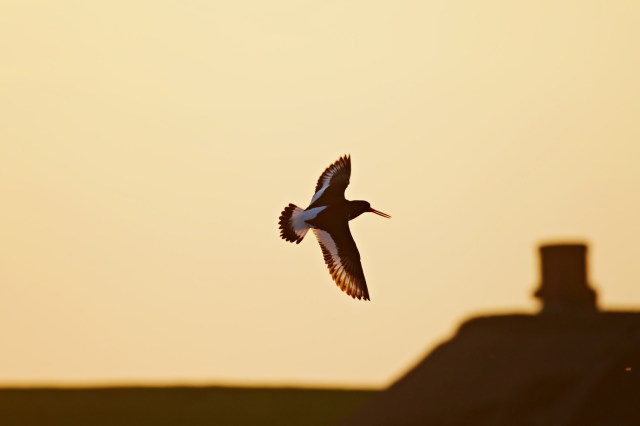 Fifteen years later, the outcome is remarkable.