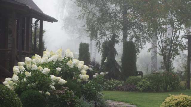 "I need to get rid of them."