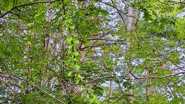 "It's a real problem here."