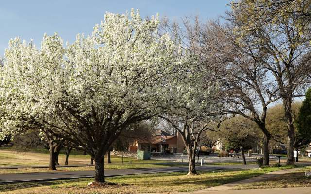 To qualify, citizens must live within the city limits.