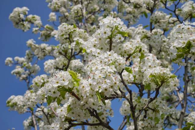 "Seems to be spreading at a rapid rate."