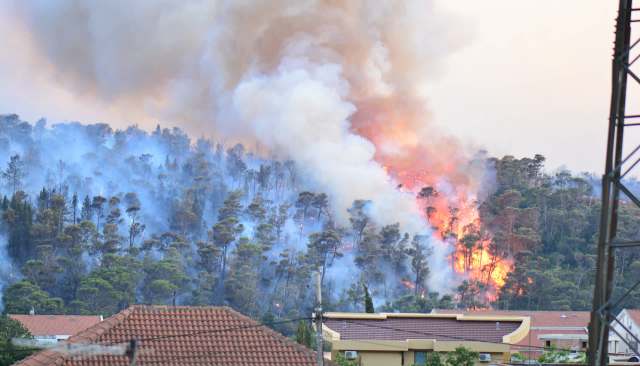 "Your job is to hold the companies accountable, and he seems to be doing the exact opposite."