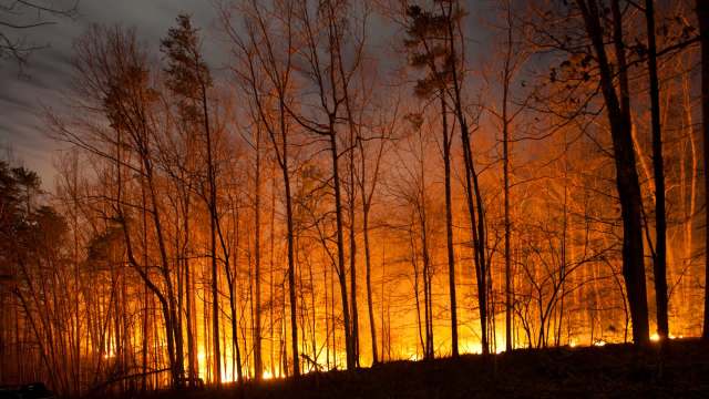 "This means until the green up period arrives ... there will be elevated brush fire risks."