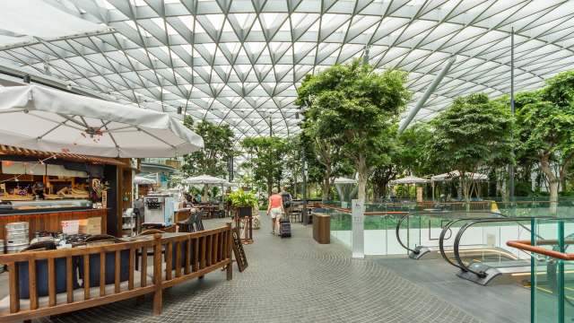 One person suggested the animals may have been going to extreme measures to find relief.