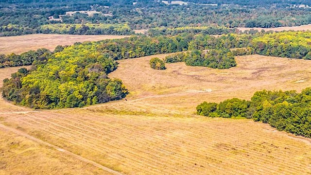 Chestnut hopes to have more than 100,000 acres of restored forest by 2030.