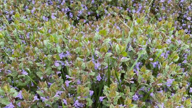 "I always have to refer to this guide."