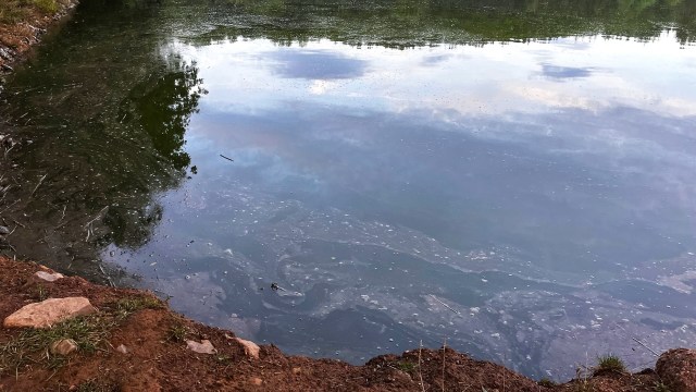 "We have taken water for granted for so long."