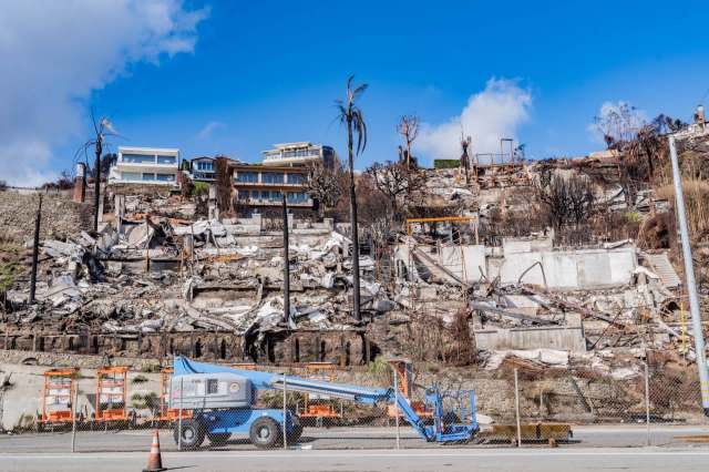 "Those behind this abhorrent scheme must be held accountable."