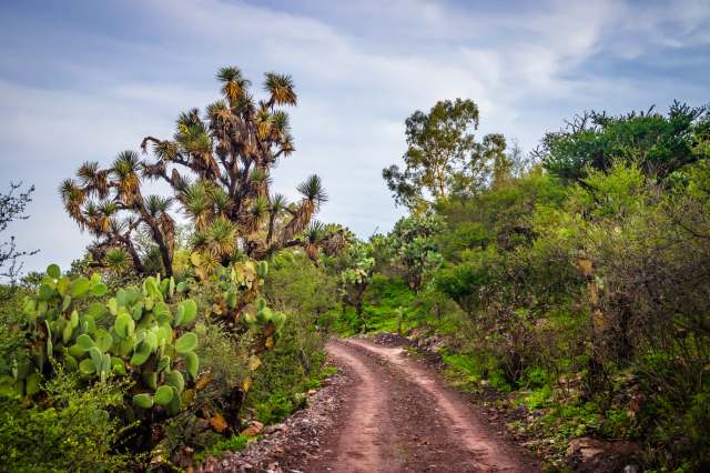 "Our findings highlight the need for adaptive conservation strategies."