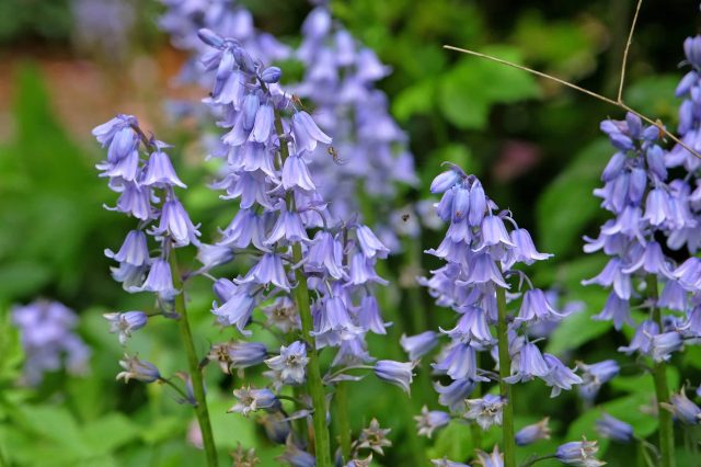 "It's an uphill battle on many fronts."