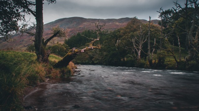 Unfortunately, these are only early figures, and the death count is expected to rise as the investigation continues.