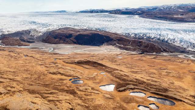 "There is huge potential."