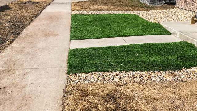 "This is a democracy problem, not a legal problem."