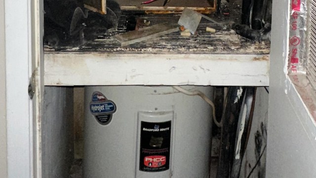 "Life and limb and my cute little kitty cat are too important."