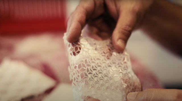 Architecture, biology, and physics professors worked together.