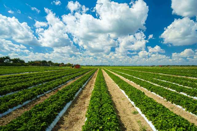 This is a problem for farmers, but it is also a problem for the rest of society.