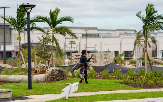 "Where did this start and why did it get so prevalent?"