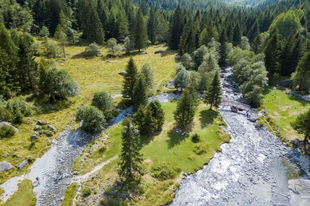 "I'm feeling very proud, especially to have made a small contribution to science."