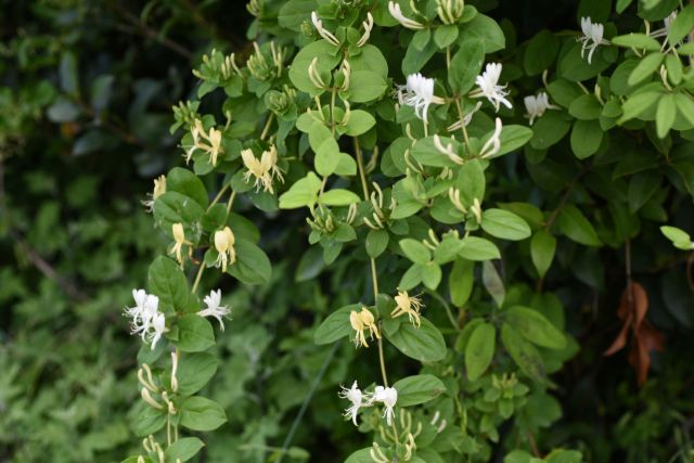 Redditors advised the park worker on what to do.