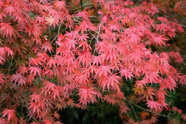 "You may also be entitled to injunctive relief."