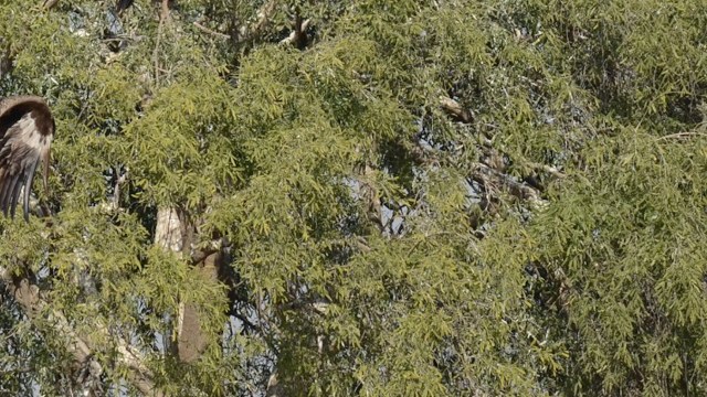 This unique site has collided with a growing problem.