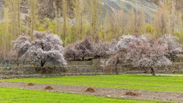 Often called the "fruit bowl" of Northern India, Kashmir is facing a troubling new reality.