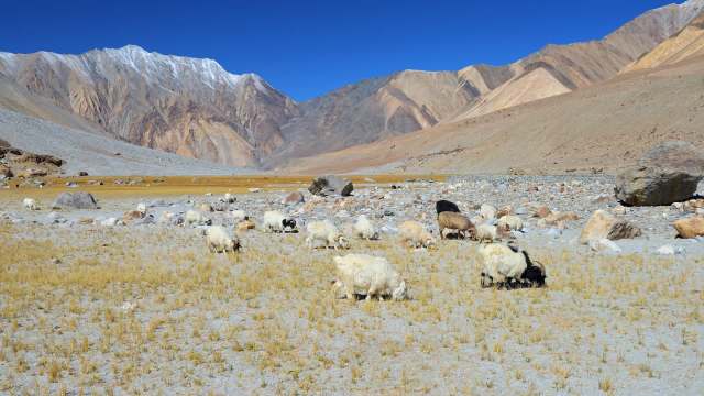 This tricky topography means the ecosystem is continually shifting very slightly.