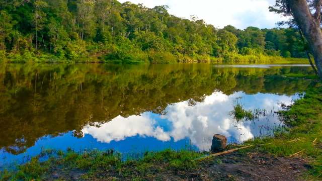 There is also a ripple effect.