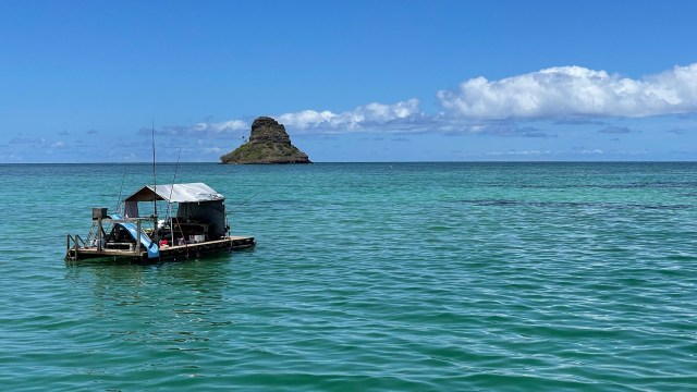 Some individuals and organizations expressed concerns.