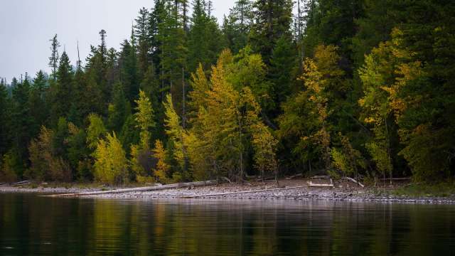 "There is no reason to if you follow the law."