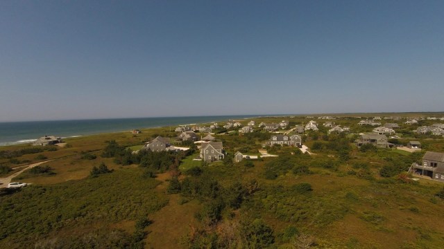 The area has now lost a historic natural habitat that would have been essential for biodiversity.