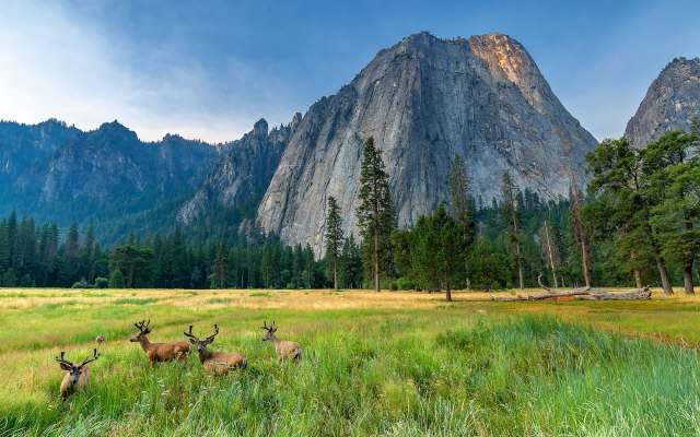 "Put some really unlikely people together in the same room and start working together to forge solutions."