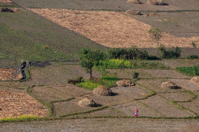 "There has been no rainfall since August last year."